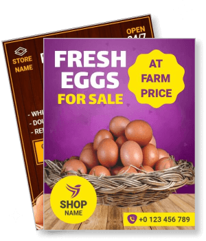 fresh eggs for sale farm price promotion flyer shop contact details template