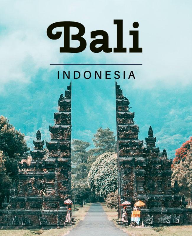 Bali Travel Destination Promotional Flyer Template