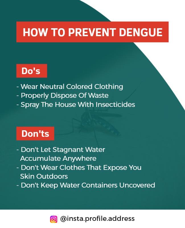 Dengue Prevention Tips Educational Flyer Template