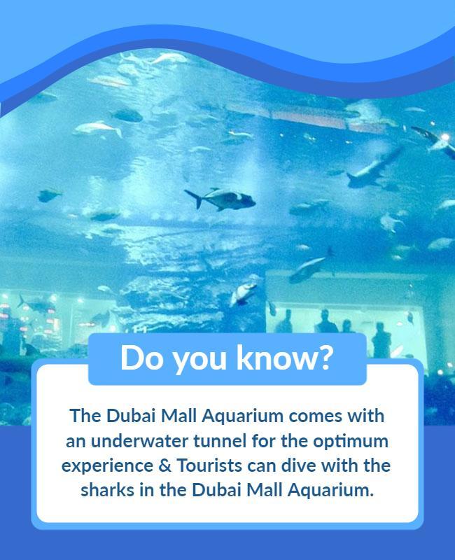 Dubai Mall Aquarium Experience Flyer Template