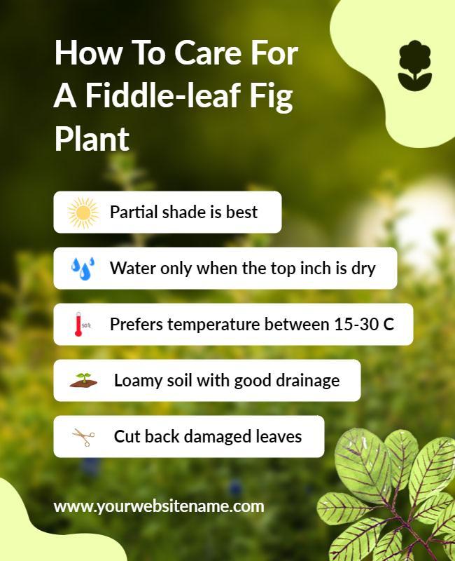 Fiddle Leaf Fig Plant Care Tips Flyer Template