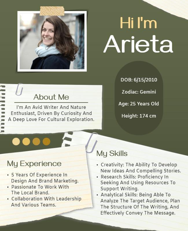 Personal Introduction and Skills Profile Flyer Template