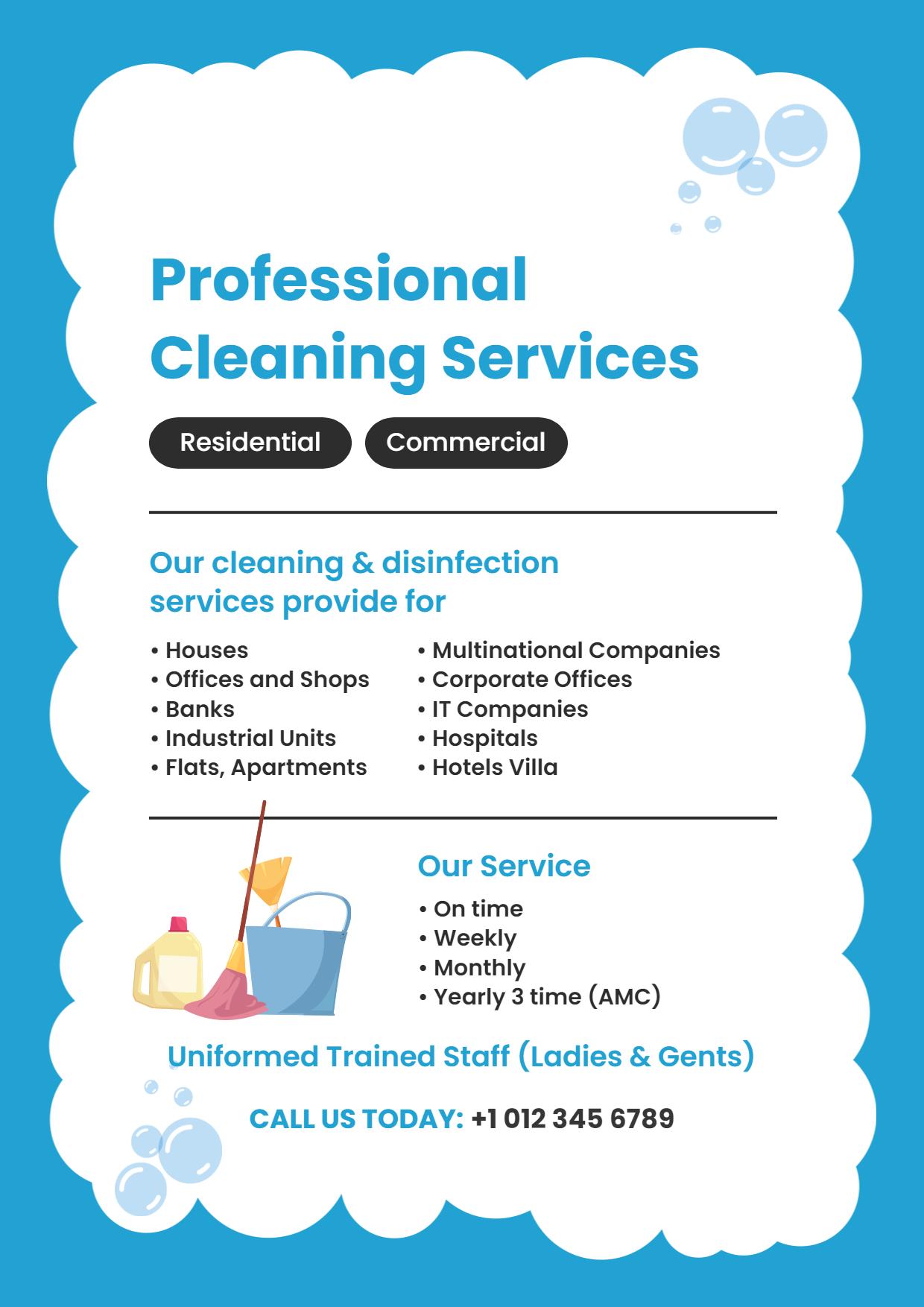 Professional Cleaning Services Advertisement A4 Flyer Template