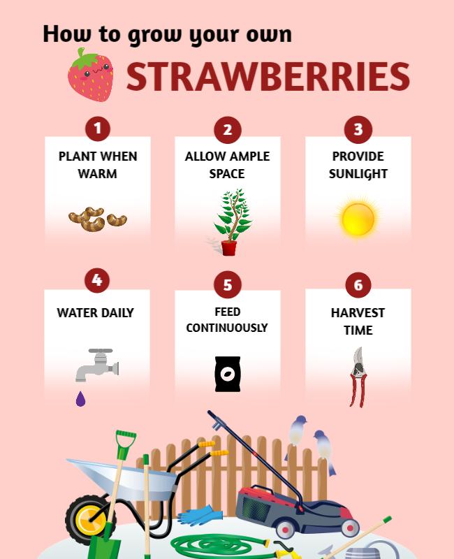 Strawberry Growing Tips Infographic Flyer Template