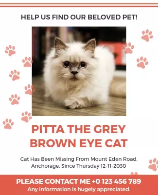 Missing Cat Pet Alert Flyer Template