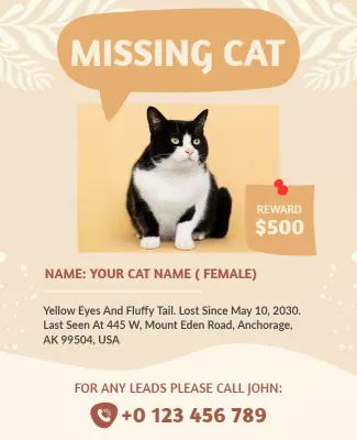 Missing Pet Cat Alert Flyer Template