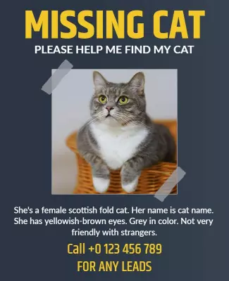 Missing Pet Cat Alert Flyer Template