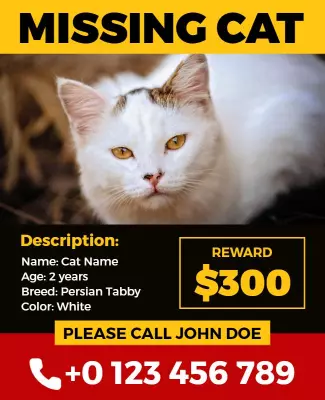 Missing Pet Cat Alert Flyer Template